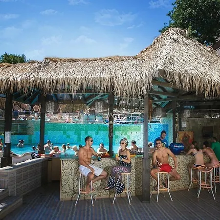 Sh Dolce Mare Goudstrand